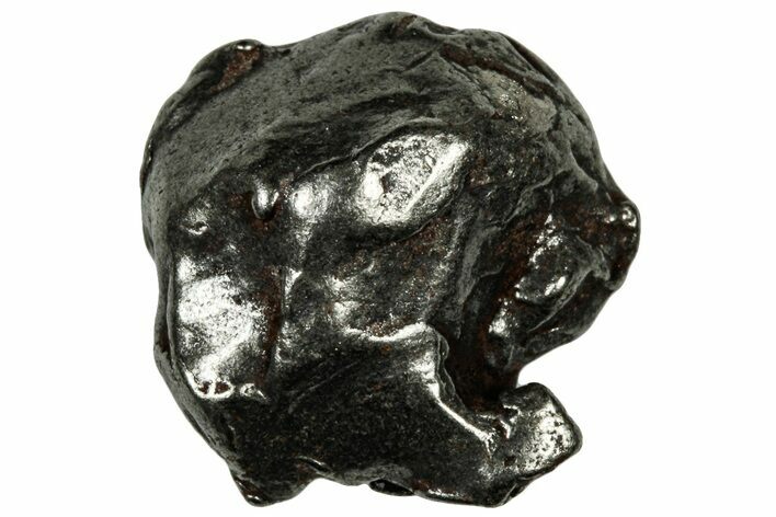 Gebel Kamil Iron Meteorite ( g) - Egypt #302600